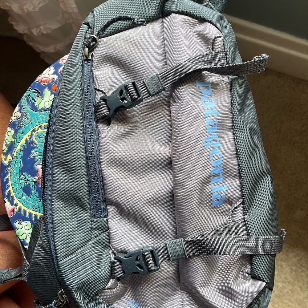 Patagonia Gray and Blue crossbodywith Padded Straps